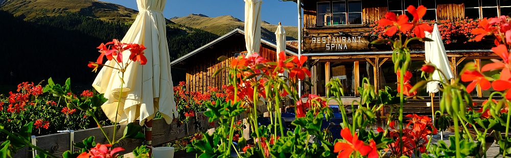 Blütenpracht in der Spina am Rinerhorn